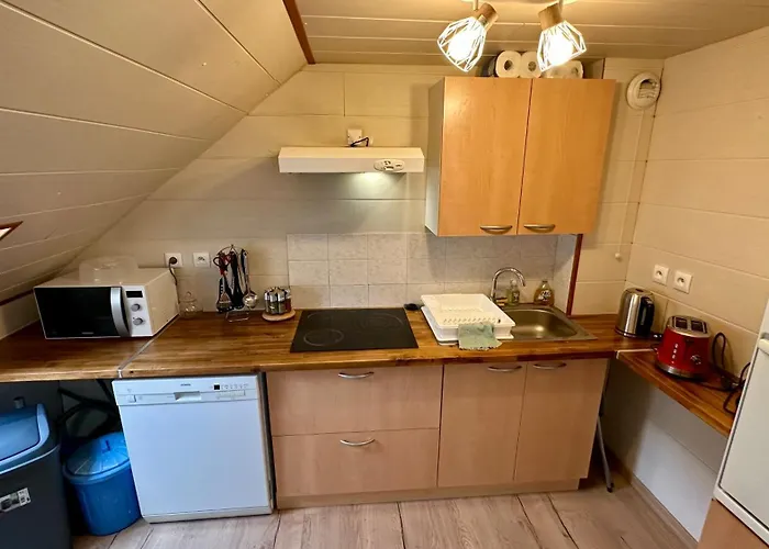 Le Mb 9 Dore 8 Pers Apartment Le Mont-Dore